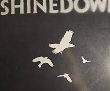 Shinedown CD + DVD - The Sound Of Madness