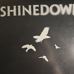 Shinedown CD + DVD - The Sound Of Madness