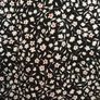 Floral Print Opaque Chiffon Shirt 20 New Image 5