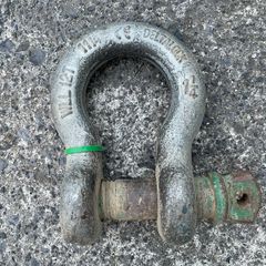 Shackle screw pin