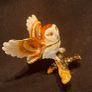 Owl Trinket Box Image 3