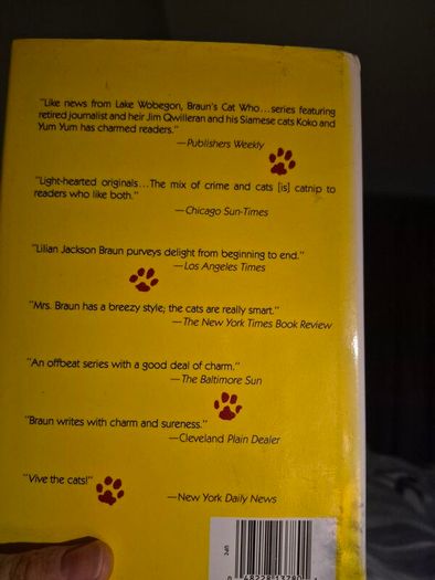 The Cat That Wasn't There