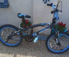 Bmx Bike