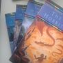 The Lord of The Rings Image 2
