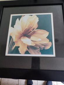 Lovely framed print still life of blooming flower.