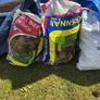 Bags of Turf Image 2
