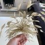 Ladies oyster embellished fascinator Image 2