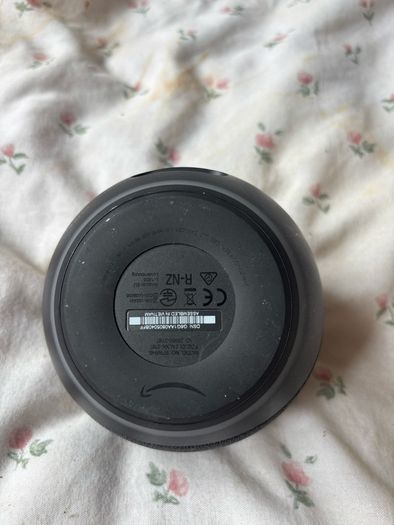 alexa bluetooth