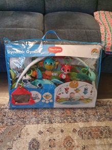 Last chance! Baby Gym (in perfect condition)