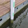 Dock bumper marina Image 10