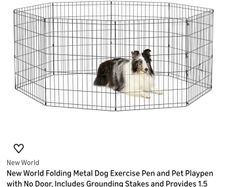 Dog's metal fence