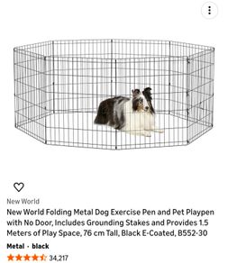 Dog's metal fence