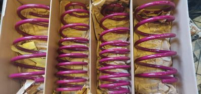 Ford Fiesta 99-02 VOGTLAND Lowering Springs 30mm