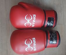 boxing gloves + shin guard leather junior 9-11 yrs
