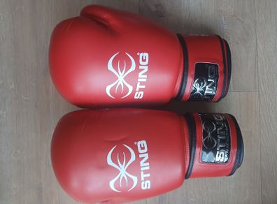 boxing gloves + shin guard leather junior 9-11 yrs