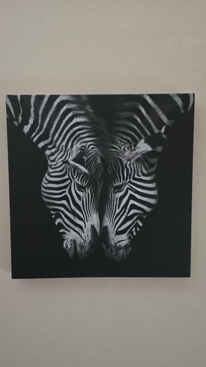 Painting canvas black and white
