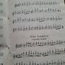 Accordion Melodeon guide Image 4