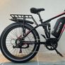 Electric Bike 1500Watts Image 3