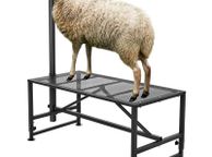 main image for ad Livestock Stand Goat Trimming Stand 21"-33" Height 47x23 in Tabletop Black