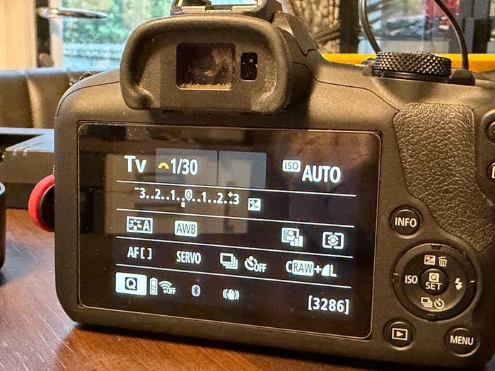 Canon R100