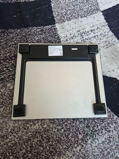 Bathroom scale