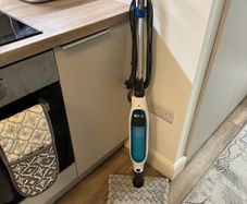 Shark steam cleaner