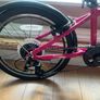 Frog bike Image 3