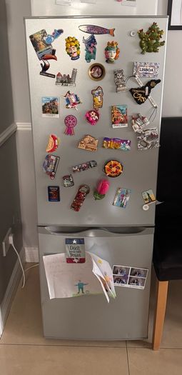 Large Fridge Freezer