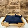 Handmade Pet bed + GIFT Image 2