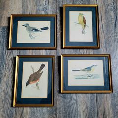 19th century set of four framed orthnological prints
