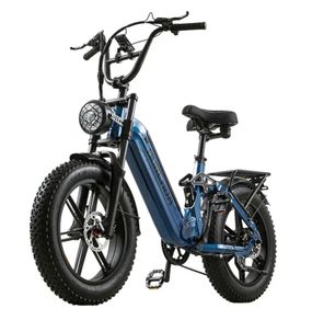 Burchda Az20 Electric Bike