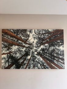 Canvas 138.5cm x 88.5cm