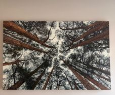 Canvas 138.5cm x 88.5cm