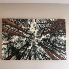 Canvas 138.5cm x 88.5cm