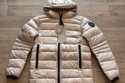 canada goose