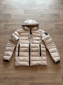 canada goose