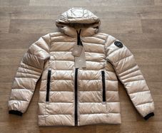 canada goose
