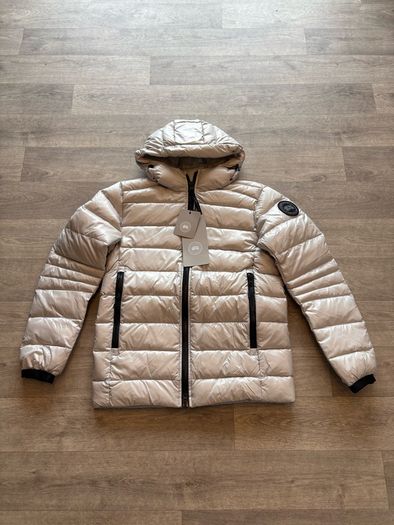 canada goose
