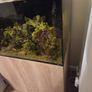 marine fish tank Image 9