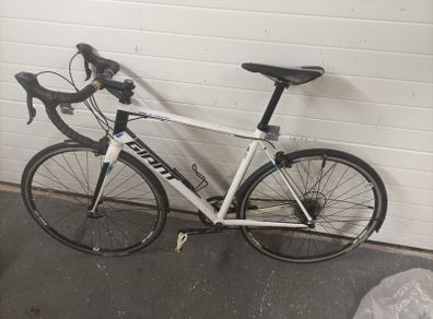 Giant defy