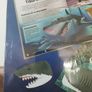Tiburon 3D Model Kit Spanish Edition Image 4