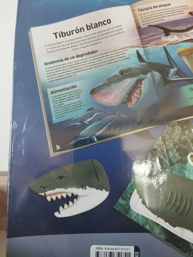Tiburon 3D Model Kit Spanish Edition