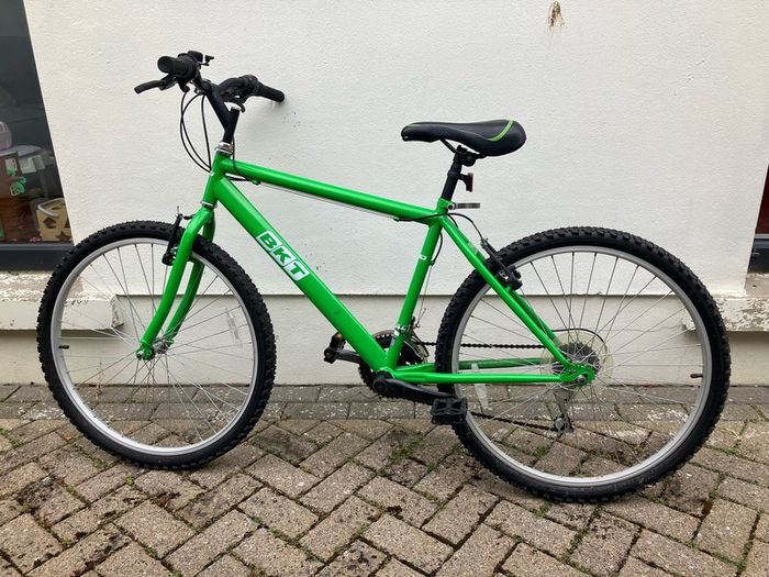 adult bike - small