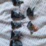 Games Workshop Warhammer Warcry Vulkyn Flameseekers Image 3