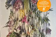 Wilco - Cousin Wilco Store Exclusive Coloured Vinyl LP