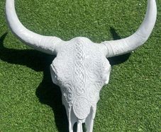 skull head