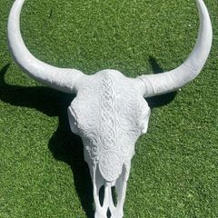 skull head