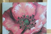 Large Poppy Canvas Picture