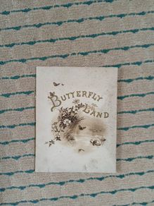 Butterfly Land by Frederick Langbridge