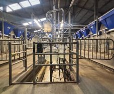 10 Unit Dairymaster Parlour